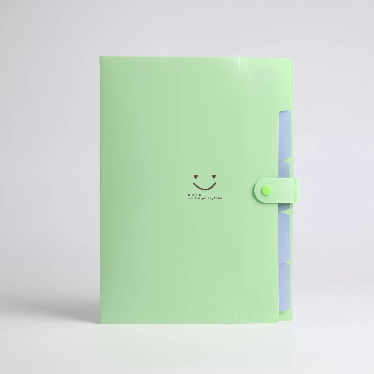 Portable A4 Accordion Document Folder – 5-Pocket Expanding Storage Bag for School & Office - green