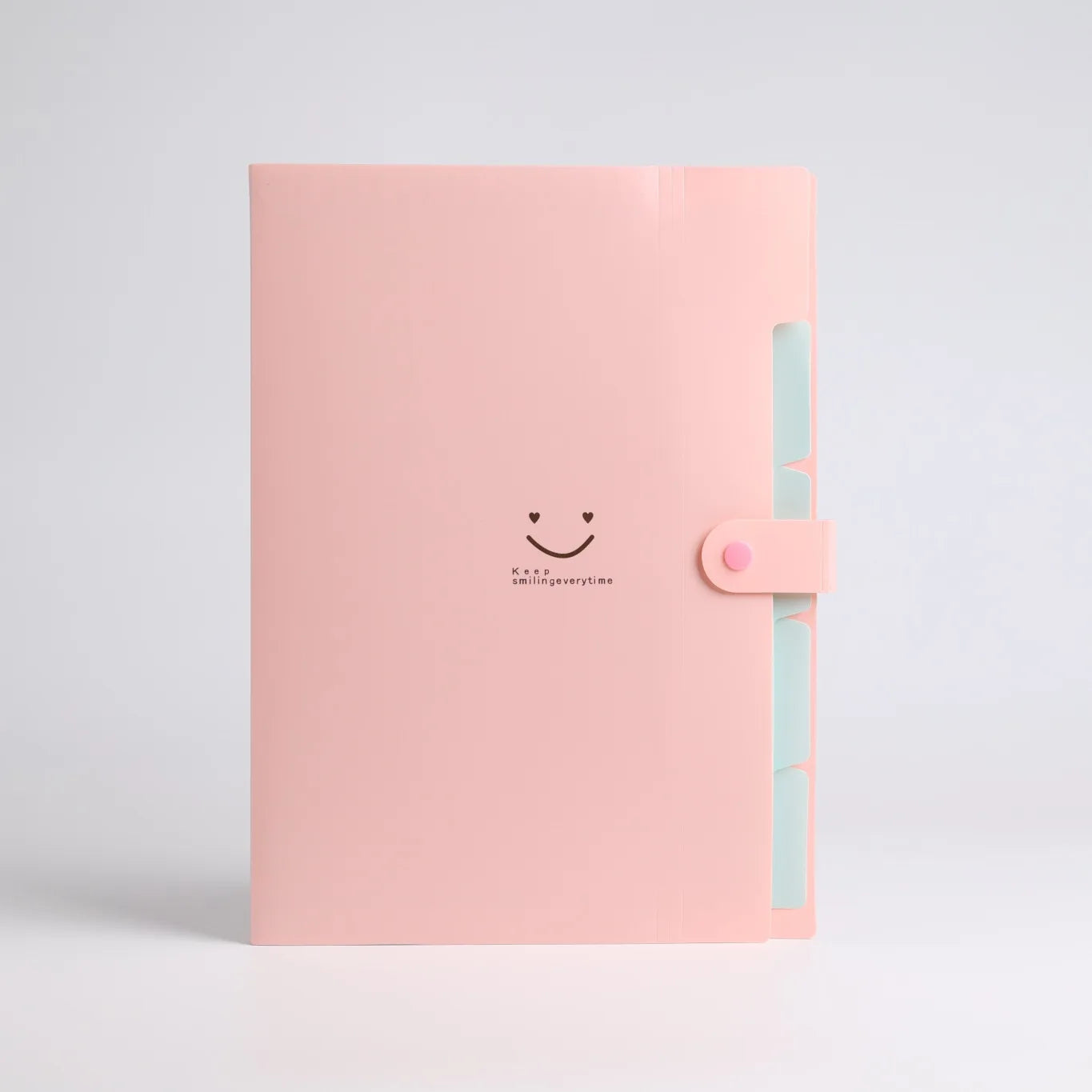 Portable A4 Accordion Document Folder – 5-Pocket Expanding Storage Bag for School & Office - Pink
